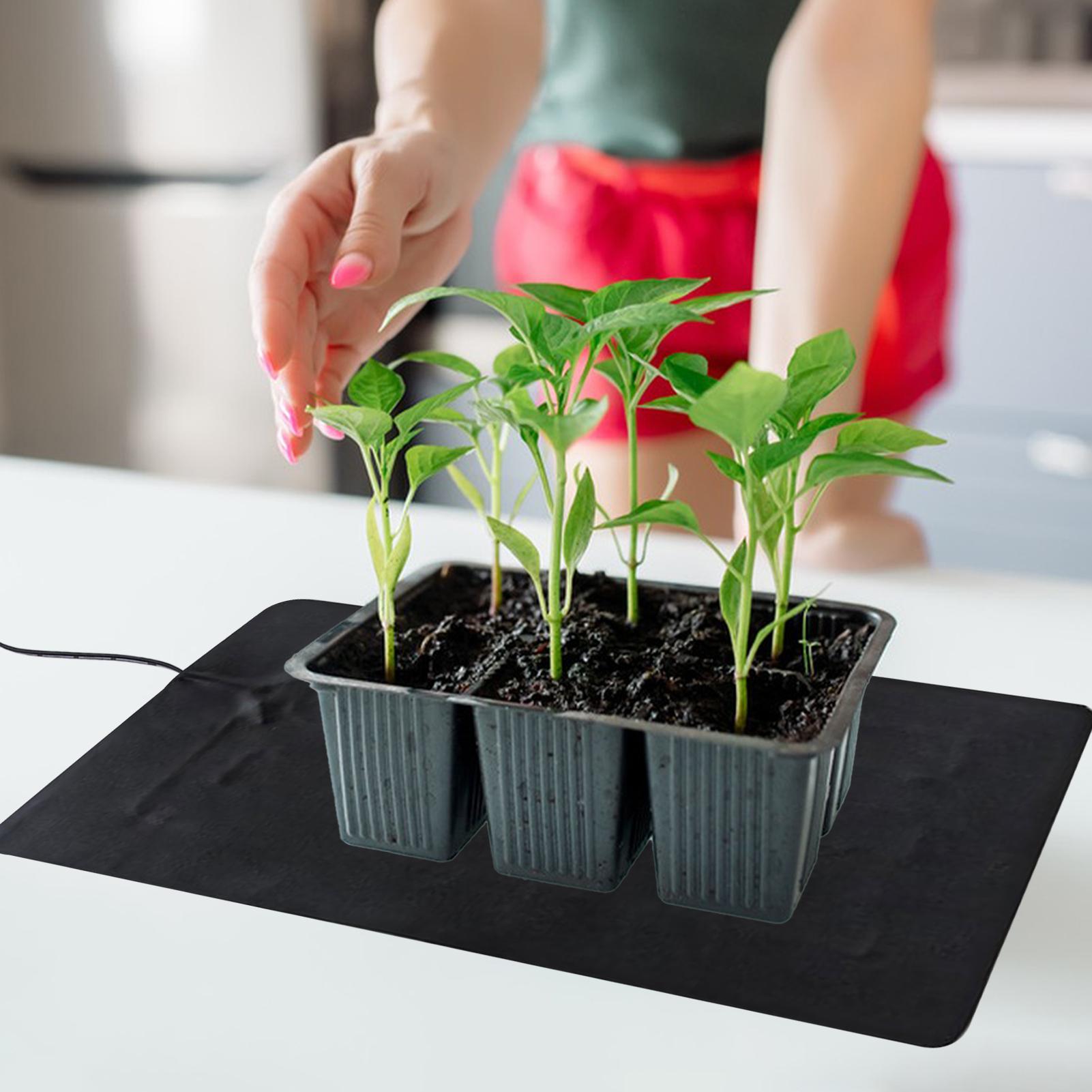 3 Temperature Adjustable Plant - Outdoor Rug Waterproof avis et prix
